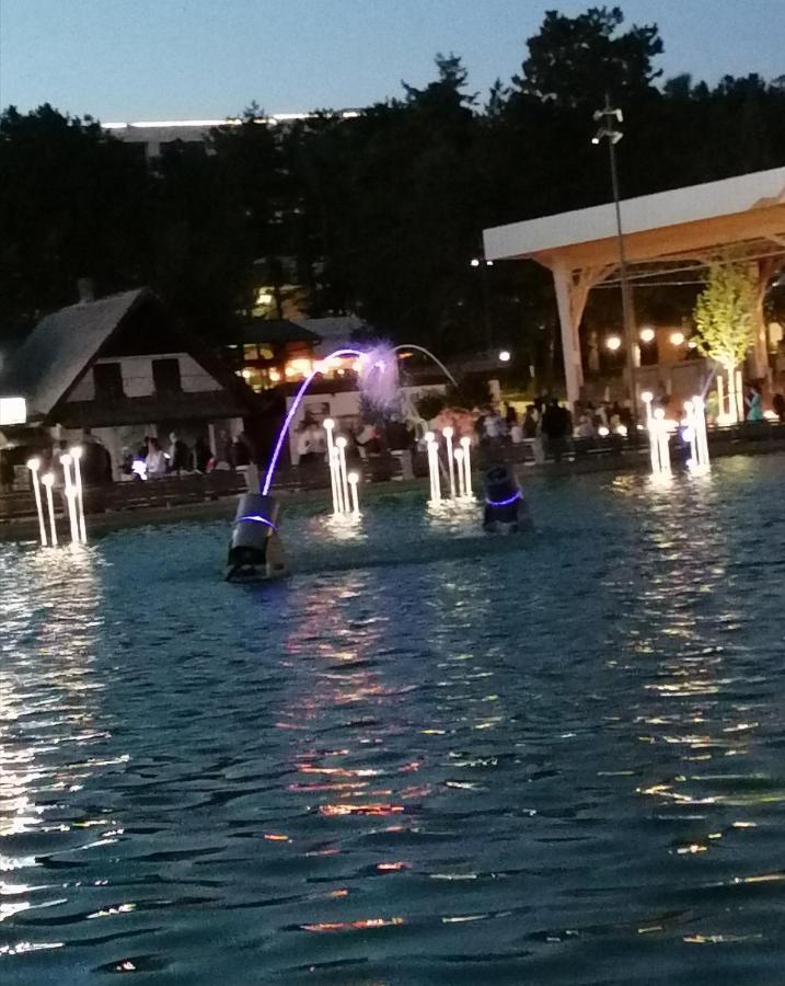 Отель Standardna Soba Zlatibor Centar 205 Экстерьер фото